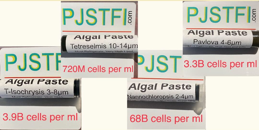 PJS Algal Paste Mix