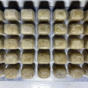 FROZEN Mysis Shrimp - 3.5oz Cube Flat
